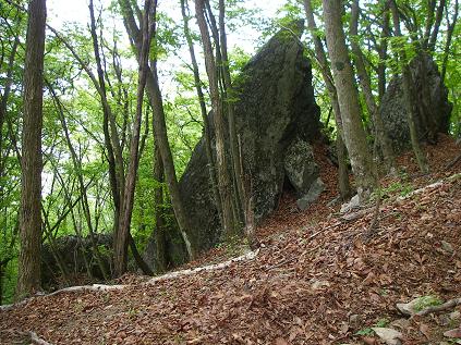 f0202990_21563950.jpg