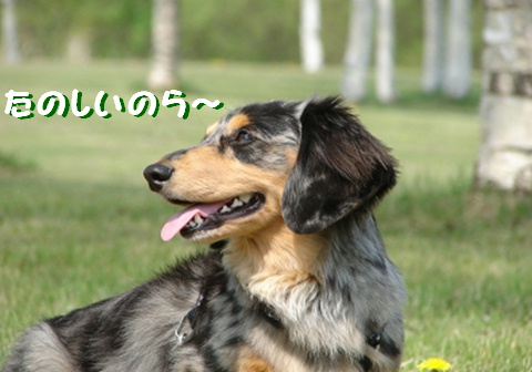 f0195891_16541736.jpg