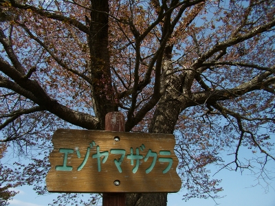f0195891_16564537.jpg