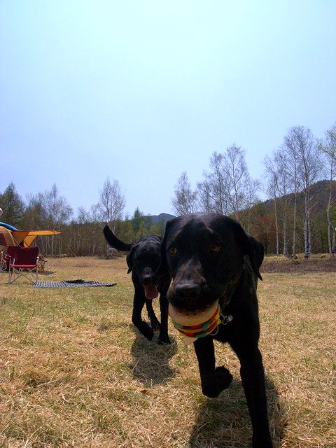 a0093592_1335556.jpg
