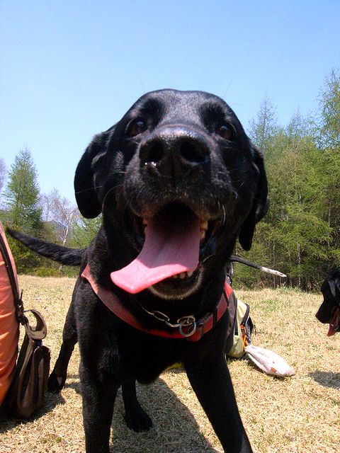 a0093592_13564527.jpg