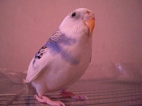 d0131293_22135966.jpg