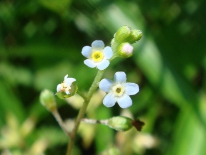 e0111793_14311096.jpg