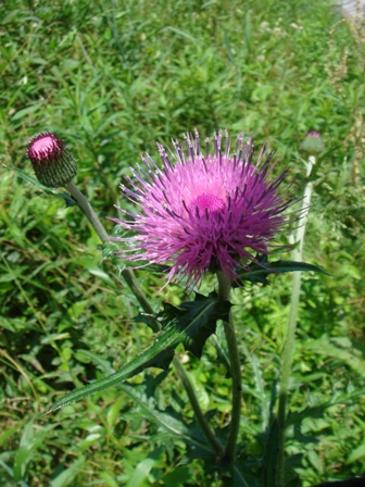 e0111793_1441598.jpg