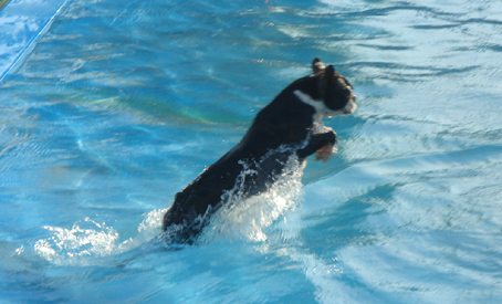 c0094999_1284830.jpg