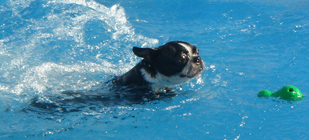c0094999_1563618.jpg