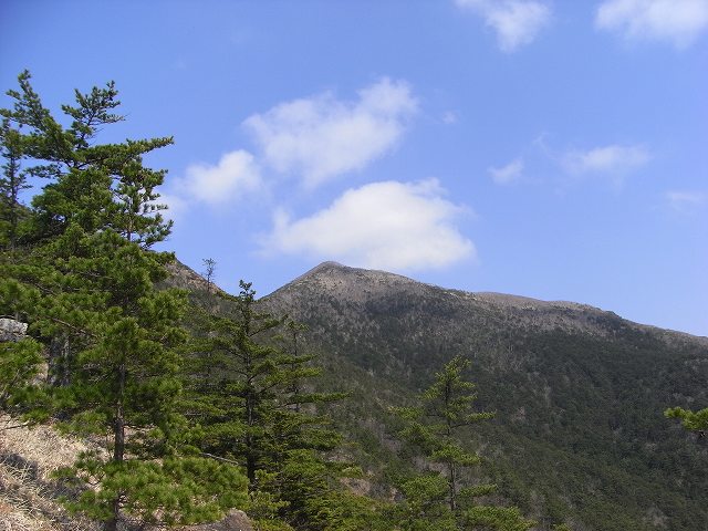 f0157901_2235290.jpg