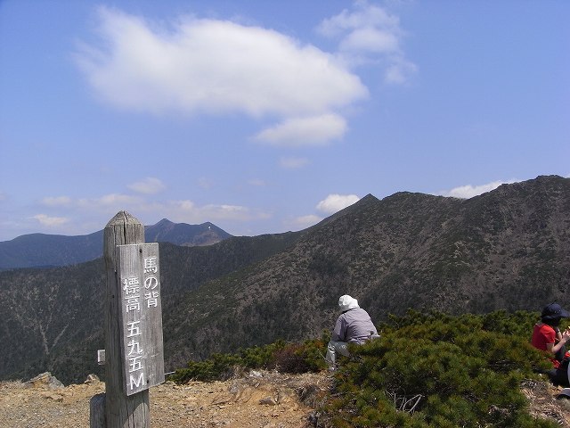 f0157901_22364111.jpg