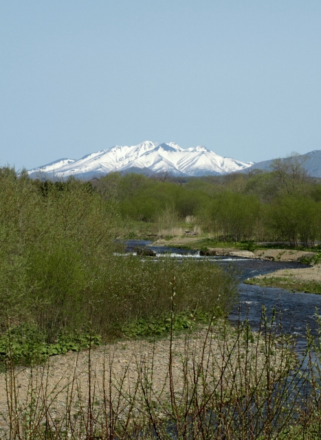 f0020302_223795.jpg