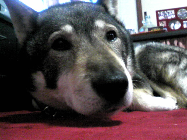 f0079202_8421275.jpg