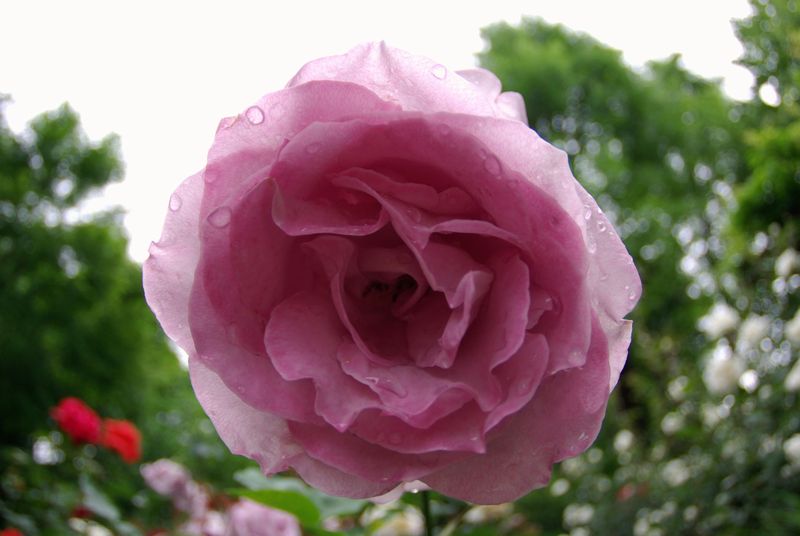 c0187503_1651690.jpg