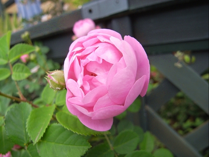 f0065604_23573292.jpg