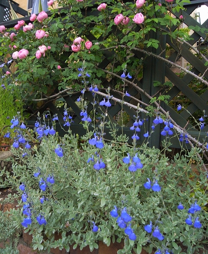 f0065604_23574440.jpg