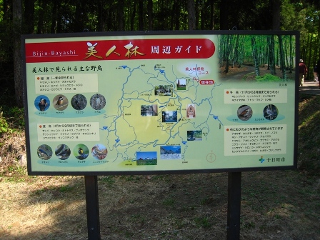 b0180907_17112638.jpg