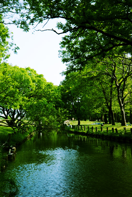 c0191707_1738318.jpg