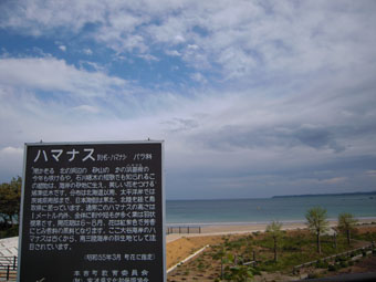 d0118208_15375014.jpg