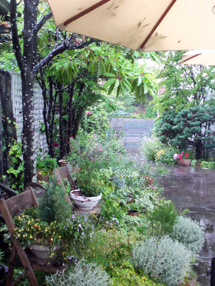 e0177509_2110450.jpg