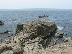 f0006509_050565.jpg