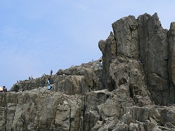 f0006509_051370.jpg