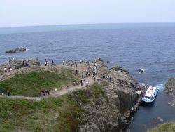 f0006509_1133045.jpg