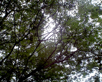 b0143214_17434286.jpg