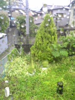 f0140715_13411195.jpg