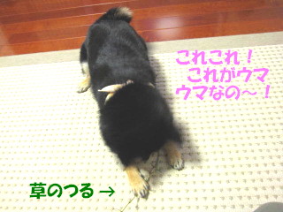 c0185516_14494048.jpg