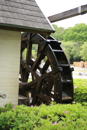 f0097620_23294298.jpg