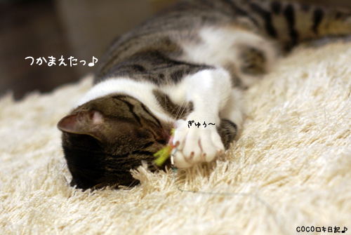 f0176122_0101720.jpg