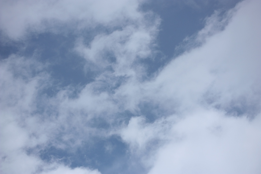 b0146723_18235997.jpg