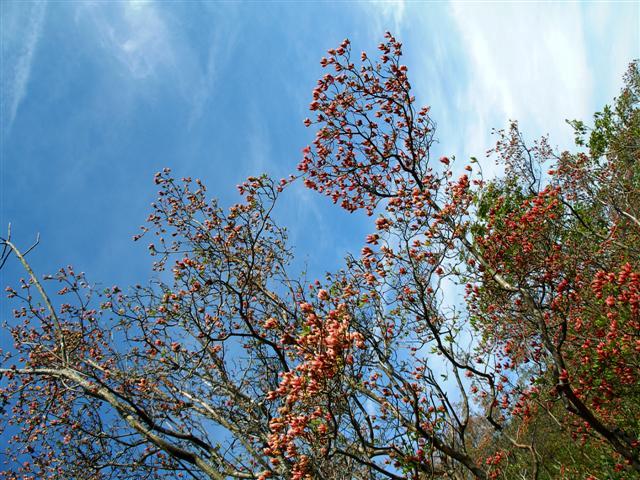 b0171523_15243298.jpg