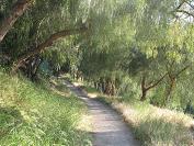b0176023_10511626.jpg