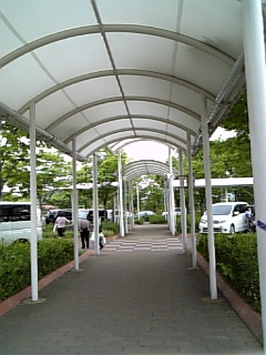f0106823_18542187.jpg
