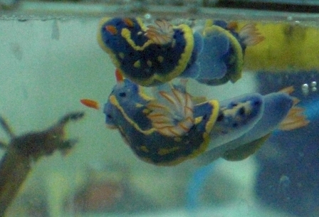 a0004326_20405830.jpg