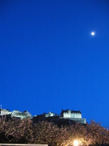 a0043326_1595377.jpg