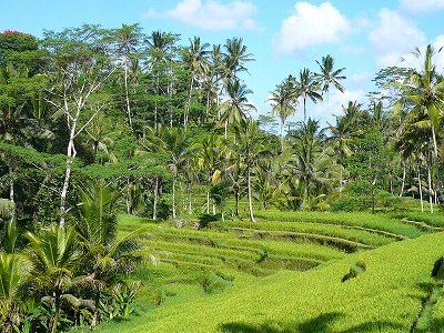 f0134229_12485861.jpg