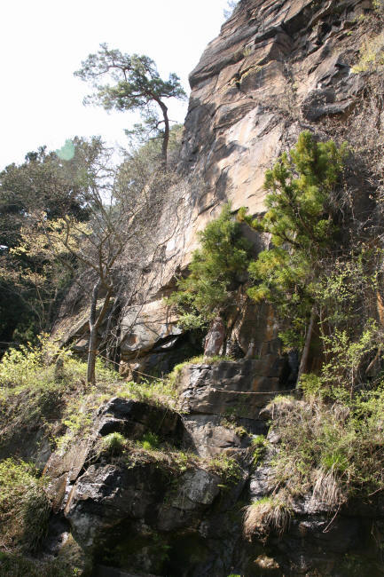 f0017530_18561727.jpg