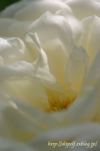 c0134734_19325498.jpg