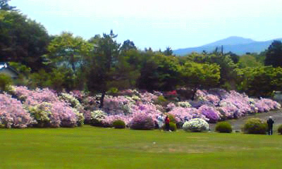 f0067138_18223532.jpg