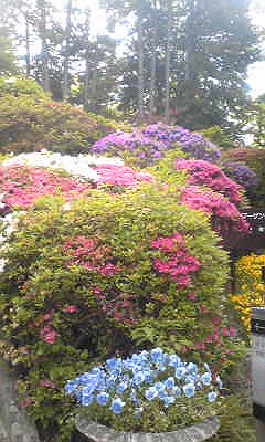 f0067138_18321998.jpg