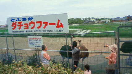d0150739_0325077.jpg