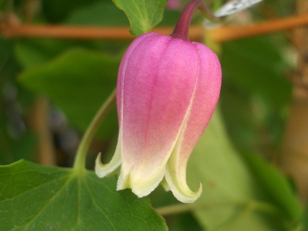 c0025140_0125155.jpg