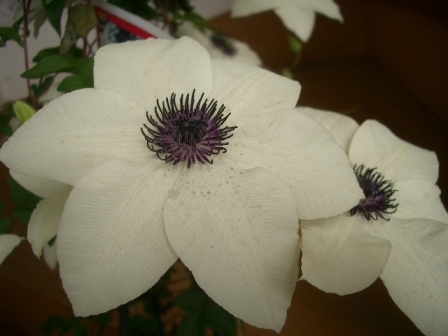 c0025140_23535114.jpg