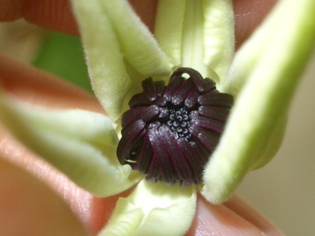c0025140_23543116.jpg