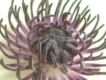 c0025140_2354437.jpg