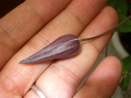 c0025140_23545263.jpg