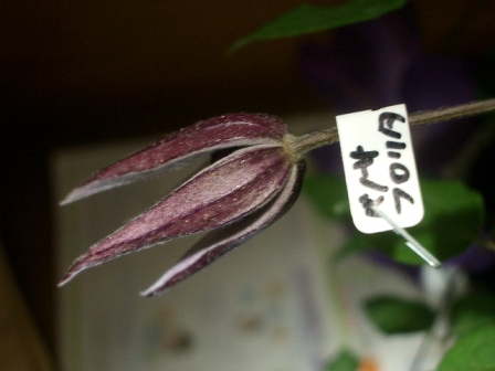 c0025140_23552959.jpg