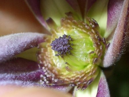 c0025140_2356515.jpg