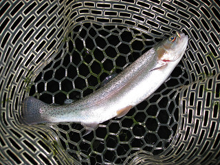 f0065341_0331819.jpg
