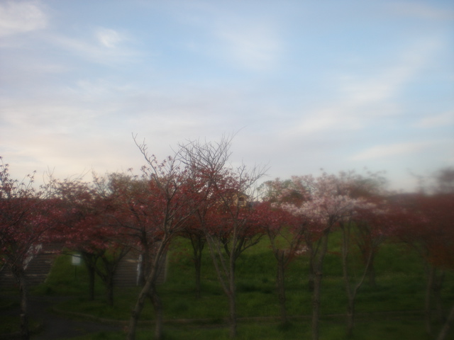 c0153444_1732563.jpg